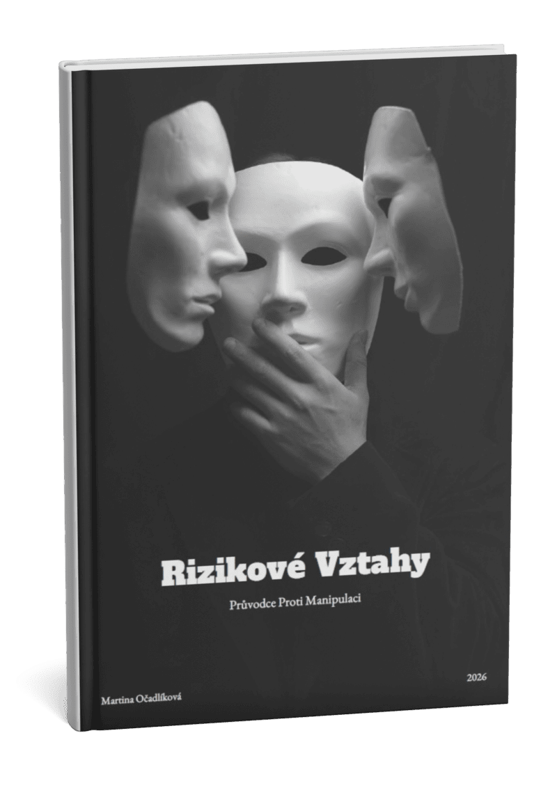 Kniha Rizikové vztahy